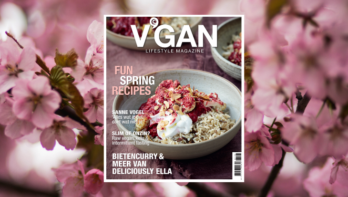 V’GAN 03 2021 ‘Fun Spring Recipes’